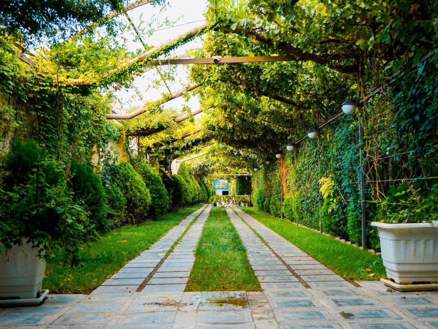 خیابان ورودی اقامتگاه